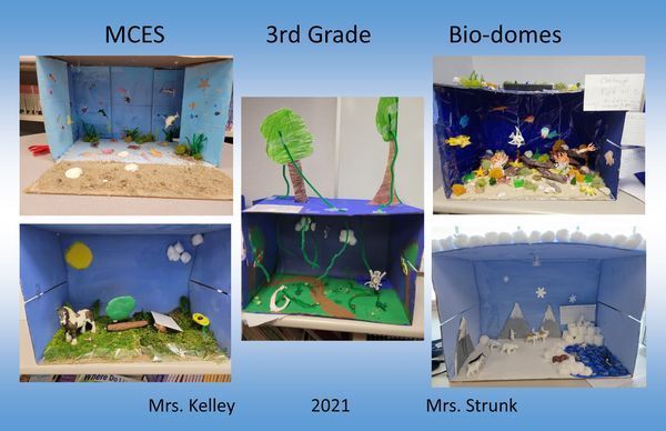 Third Graders Create Biomes
